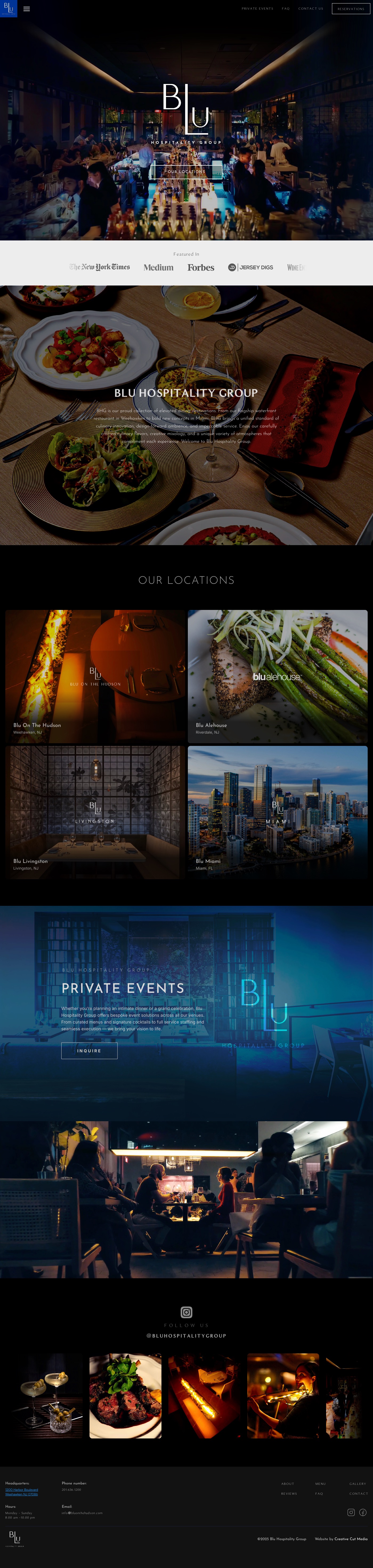 Blu on the Hudson cinematic website media slot